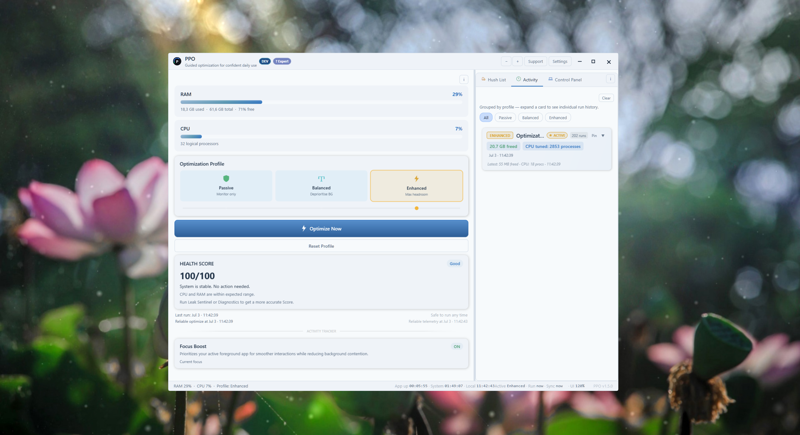 PPO Activity panel showing optimisation run history (light theme)