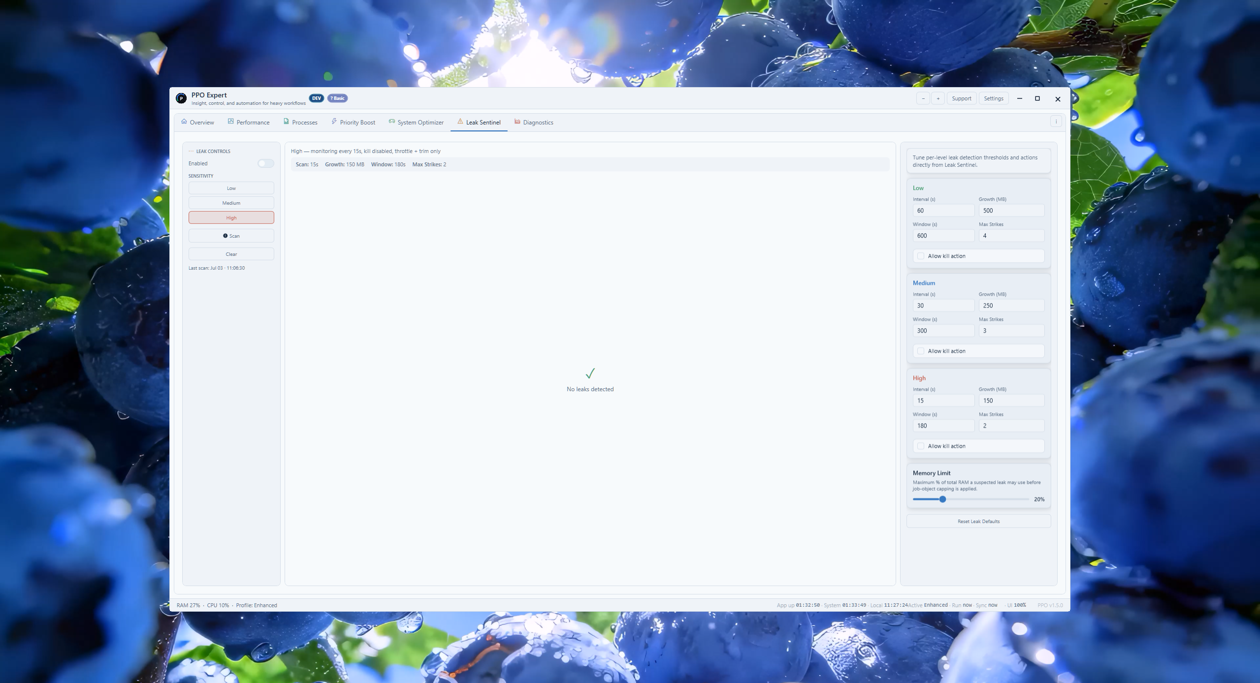 PPO Expert Performance tab Memory monitor (light theme)