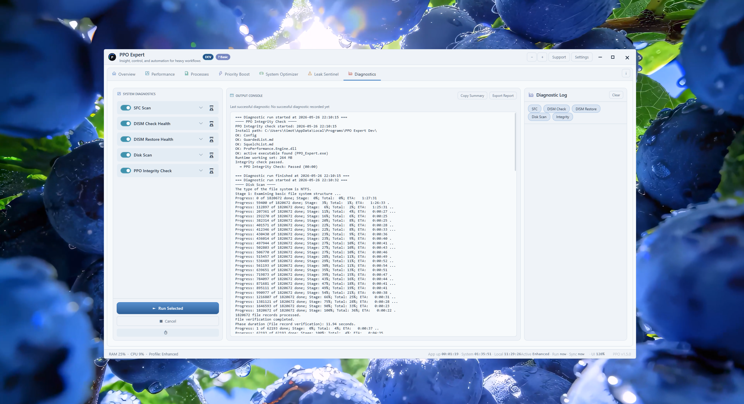 PPO Expert Performance tab Network monitor (light theme)